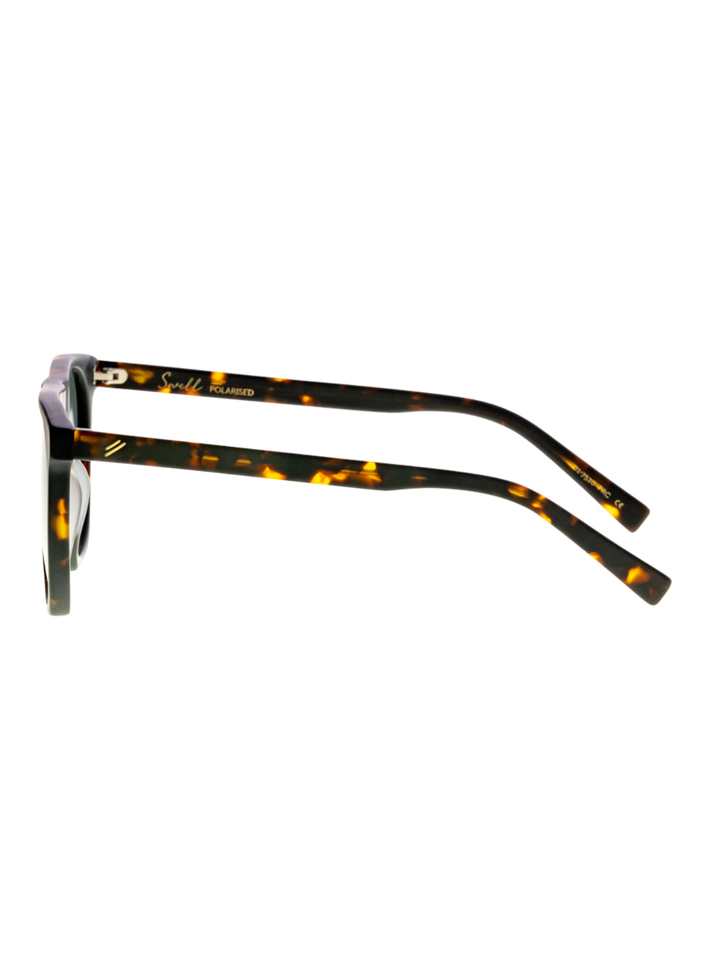 Swell Sunglasses Bask Eyewear