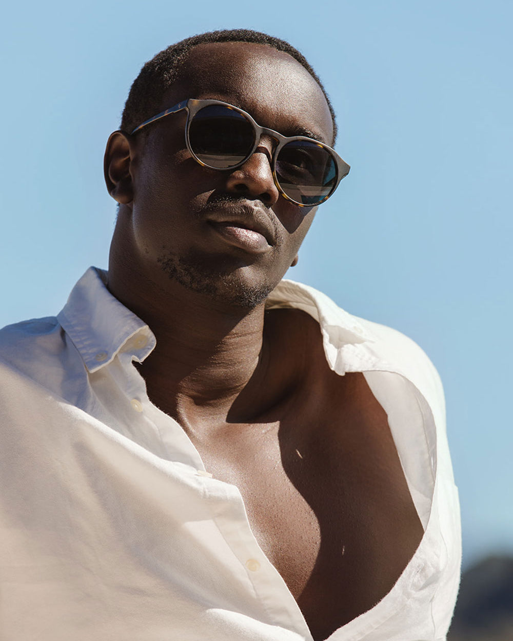 Sheyd Sunglasses Bask Eyewear