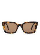 Sol Toffee Tort Brown Polarised Sunglasses Bask Eyewear