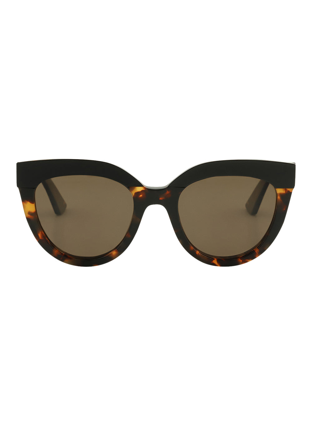 Echo Toffee Tort Brown Polarised Sunglasses Bask Eyewear