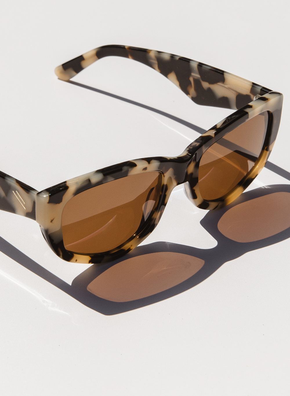 Poet Sunglasses Bask Eyewear